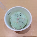 葛城茶房 フォレストカフェ - ジェラートシングル(チョコミント)