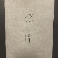 感情 - 