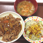 すき家 - カレー南蛮牛丼豚汁サラダセット