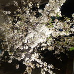 龢 - 【H25.4.6.食べログoff会】