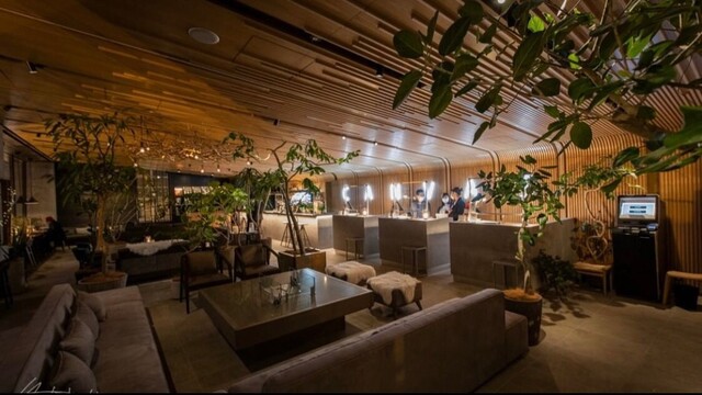 CANVAS LOUNGE KOKAGE 