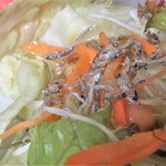 森のレストラン BOSCO - ちりめんじゃこトッピングのサラダ