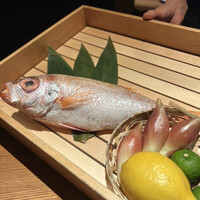 のどぐろ専門 銀座中俣 はなれ - 