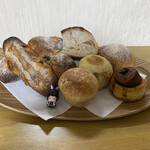 天然こうぼぱん とことこ - パンの柱、勢揃いなりW(`0`)W