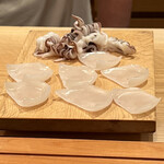 木挽町 とも樹 - 出水の新イカの勢揃い