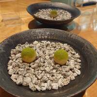 東山 ハイアット リージェンシー 京都 - 