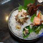 割烹　中むら - 伊勢海老とサザエのお造り