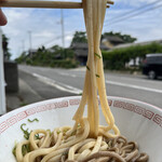 池内うどん店 - 