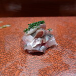 鮨匠 のむら - 白鯵(根付き真鯵)(鹿児島県開聞岳沖産)