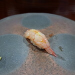 鮨匠 のむら - ナミクダヒゲエビ(鹿児島県錦江湾産、210m)