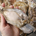 Assortment of 4 raw Oyster of 2 types by region of origin