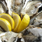 Assortment of 6 raw Oyster of 3 types by region of origin