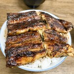 田代 - 並　ライス大盛り