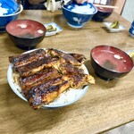 田代 - 並　ライス大盛り