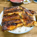 田代 - 並　ライス大盛り