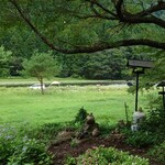 くつきそば 永昌庵 - 