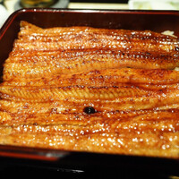 うなぎ 目白ぞろ芽 - 