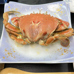 旅館　松の家 - 