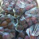 JA福岡市早良グリーンセンター - 