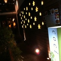 coci - 