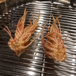 てんぷら 下村 - 車海老脚