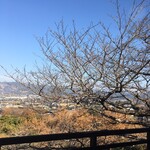 中華の丼 林さん亭 - 春には桜と共に絶景が楽しめそうですね？