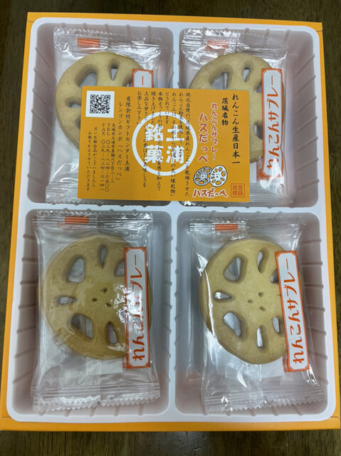 れんこんパパ れんこんパパの釣り日誌 - YouTube