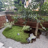 木山 - 