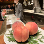 スガラボヴィー - 