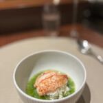 スガラボヴィー - 