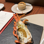 スガラボヴィー - 