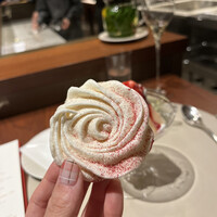 スガラボヴィー - 