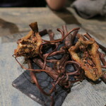 レヴォ - アユカケ