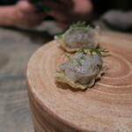 レヴォ - 白エビ