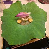 道人 - 蓮の葉の先付け〜旨出汁のジュレ　蓮根餅　茶豆のずんだ　焼き蓮根　頬杖トマト