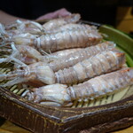 鮨匠 のむら - 蝦蛄(鹿児島県産)茹で上がり