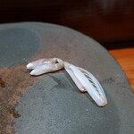 鮨匠 のむら - 蝦蛄(鹿児島県産)の爪