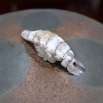 鮨匠 のむら - 蝦蛄(鹿児島県産)