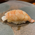 鮨匠 のむら - ナミクダヒゲエビ