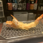 Tempura Amatsuki - 