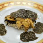 ペレグリーノ - 