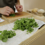 ペレグリーノ - 