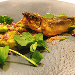 イル プレージョ - 