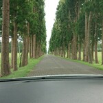 トラピスト修道院 売店 - 