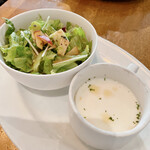 星のアントニオ - 