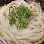 Hanamaru Udon - 