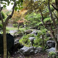 日本料理 和か葉 - 
