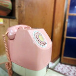 菊栄食堂 - なつかしい電話だ・・・ダイヤル式、しかもピンク電話