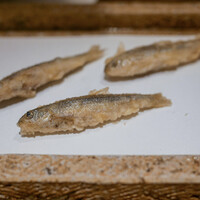 日本橋 蕎ノ字 - 