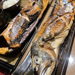 産直さばと青魚 伏見あおい - 